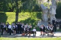 IMG_8731.JPG